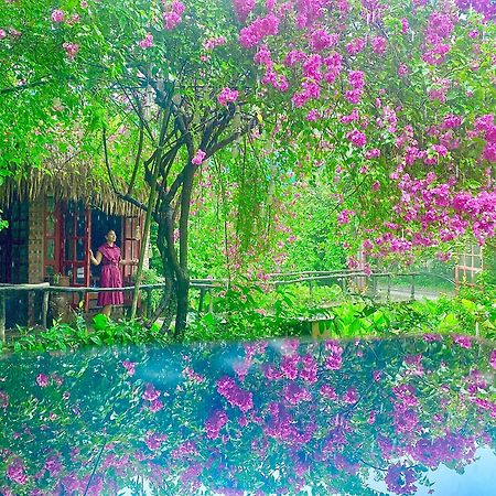 Maison Teahouse Homestay Ha Giang Eksteriør bilde