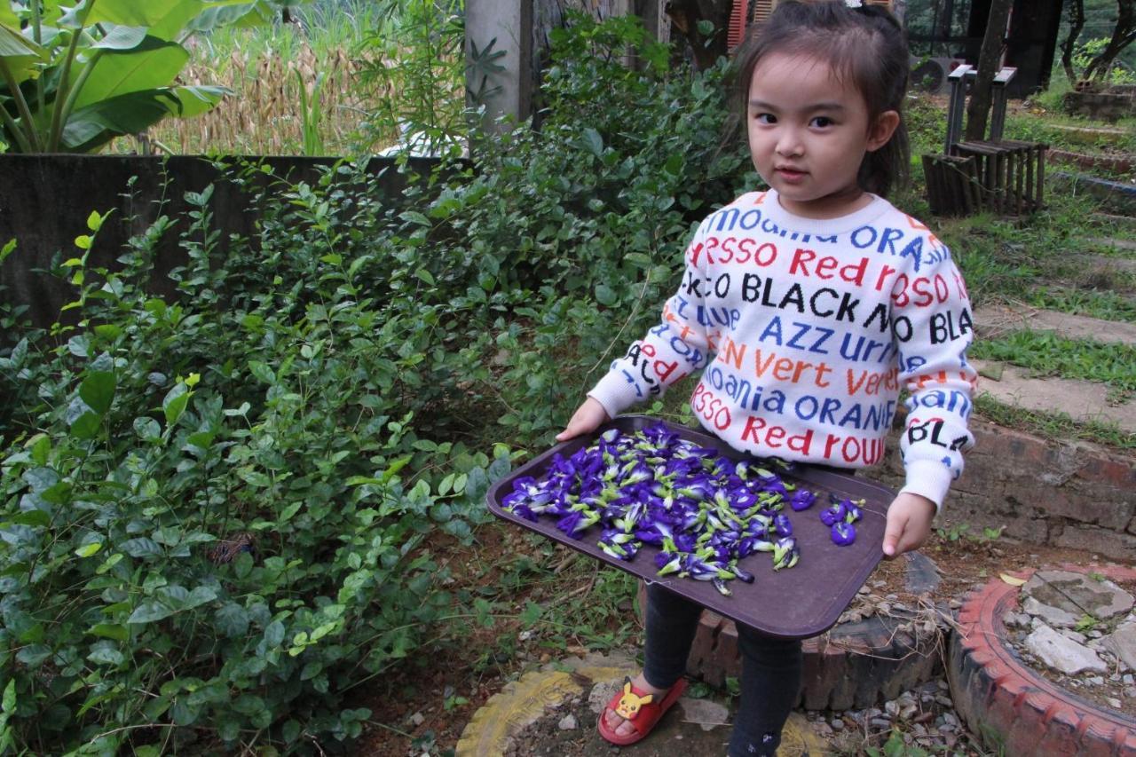 Maison Teahouse Homestay Ha Giang Eksteriør bilde