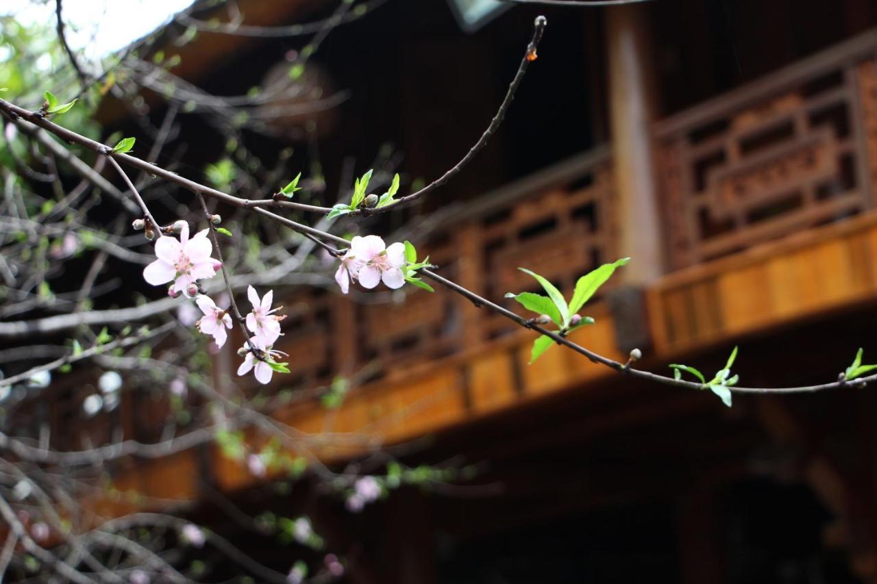 Maison Teahouse Homestay Ha Giang Eksteriør bilde
