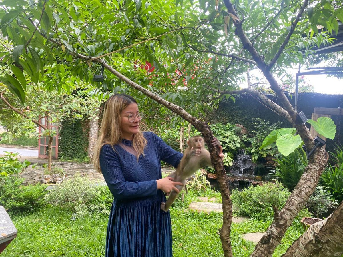 Maison Teahouse Homestay Ha Giang Eksteriør bilde