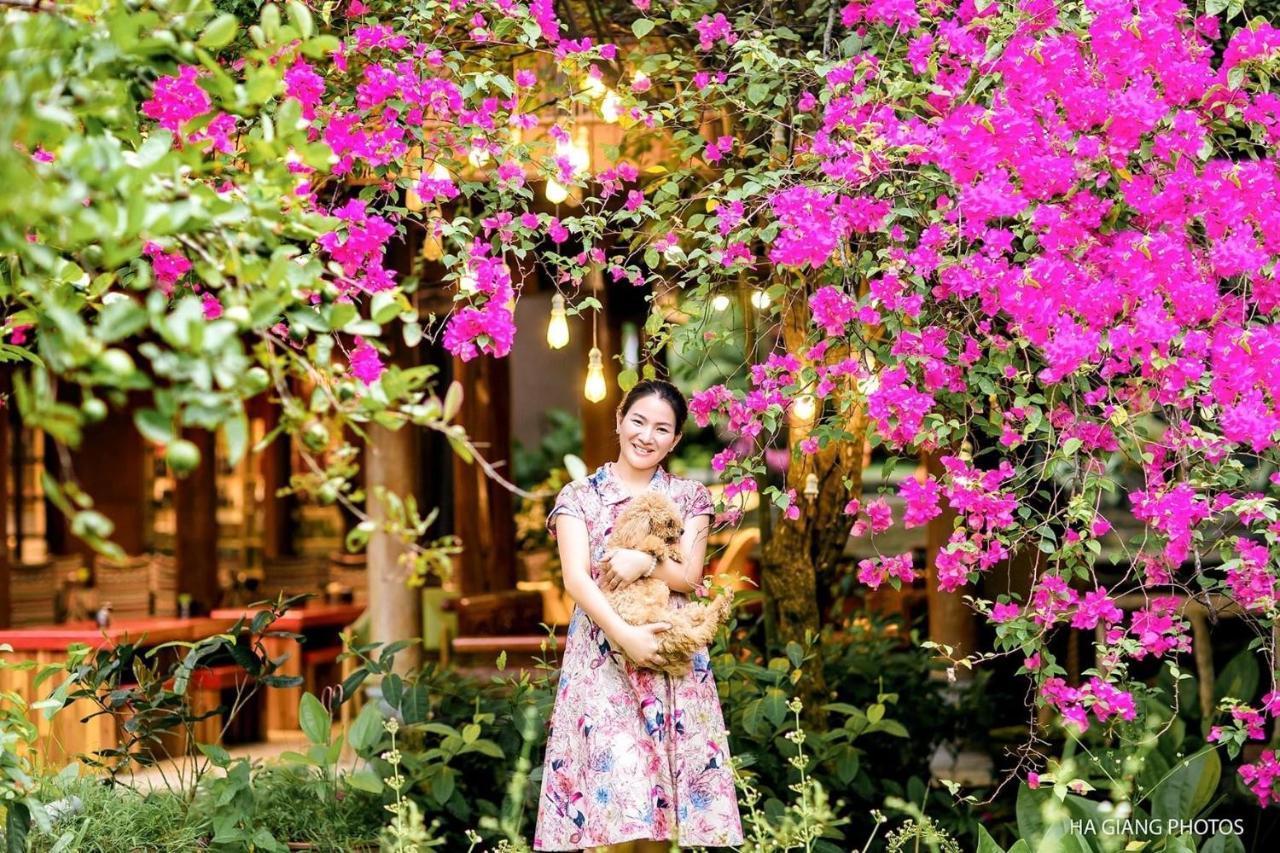 Maison Teahouse Homestay Ha Giang Eksteriør bilde