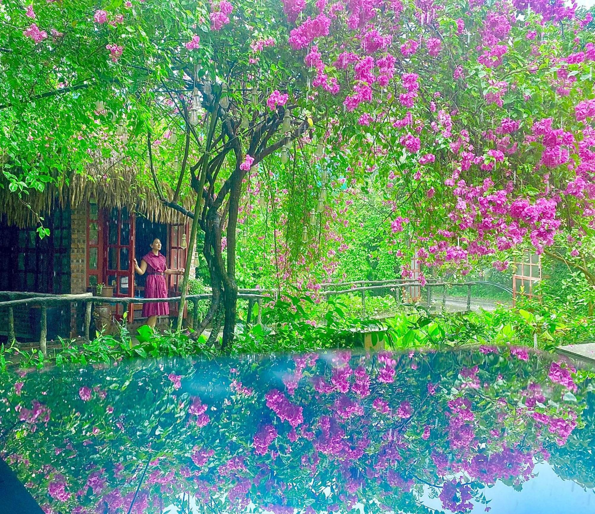 Maison Teahouse Homestay Ha Giang Eksteriør bilde